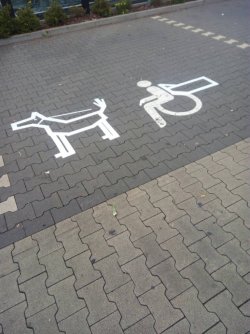 1474573583584.jpg