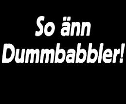 So-aenn-Dummbabbler!.jpg