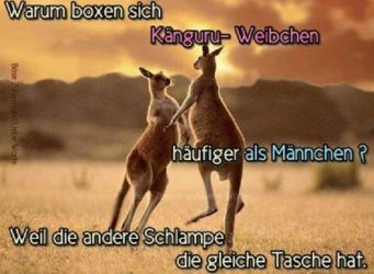 aAufzeichnen.JPG