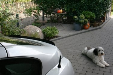 lippe2.jpg