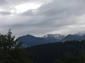 20161003_103124.jpg