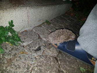 20161003_213758.jpg
