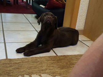 20161005_110030.jpg