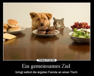 ttAufzeichnen.JPG