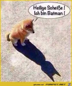 Scheisse-1.jpg