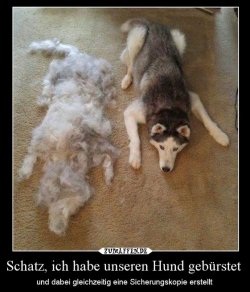 tAufzeichnen.JPG