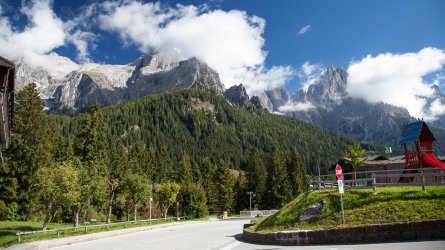 IMG_4730.jpg