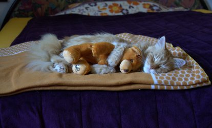 DSC_0005.jpg