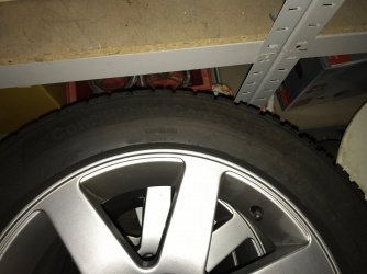 IMG_0459.jpg