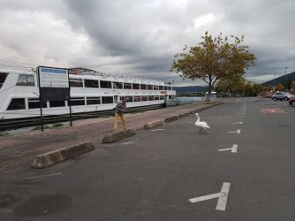 20161015_181832k.jpg 20161015_181832k.jpg