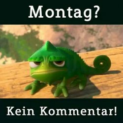montag306.jpeg