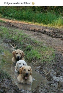 IMG-20161020-WA0006.jpg