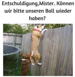 tAufzeichnen.JPG