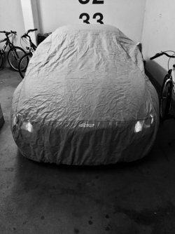 IMG_5523.JPG