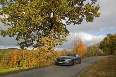 zr5857.jpg