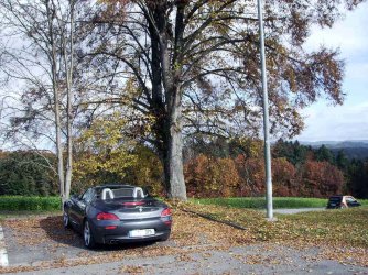 Impressionen der 3. Jahreszeit 006.JPG