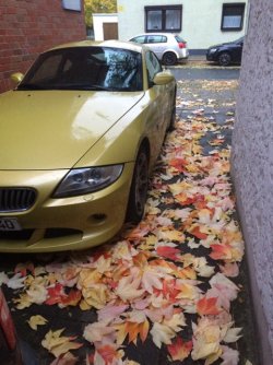ImageUploadedByzroadster.com - BMW Z Series Community1478118592.168294.jpg
