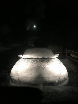 IMG_0291.JPG