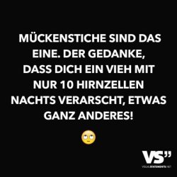 Mücken.jpg