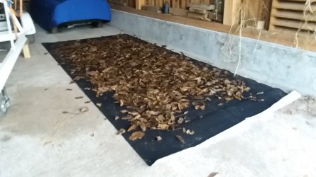 20161104_162857.jpg