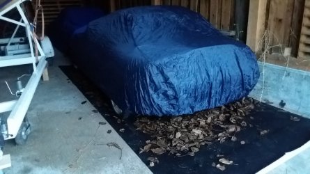 20161104_165008.jpg