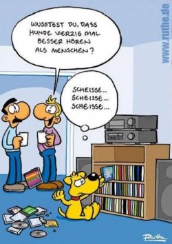 1Aufzeichnen.JPG