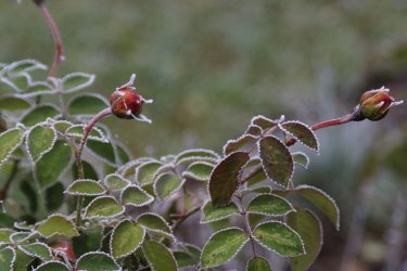 IMG_5982_1200.jpg