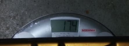 Felge Gold 255.JPG