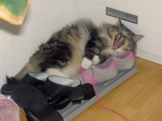 Müde.jpg