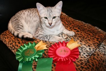 IMG_3322_klein.jpg