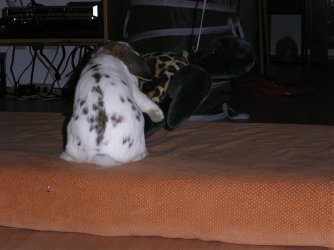 PICT0020.jpg