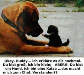 tAufzeichnen.JPG