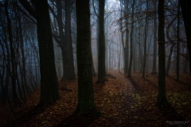 Festblick (1 von 1).jpg