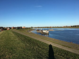 IMG_0466_1.jpg