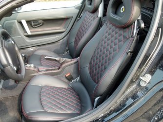 Leder 02.JPG