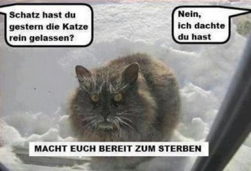 Katze überwintern.jpg