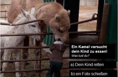 Kamel frisst Kind.jpg