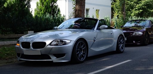 z4.jpg