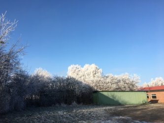 05122106.jpg