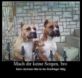 tAufzeichnen.JPG