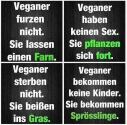 1Aufzeichnen.JPG
