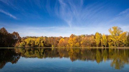201510_Herst-IMG_3119.jpg