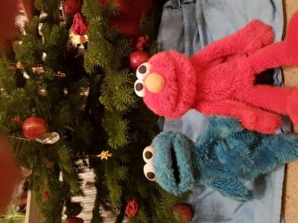 20161224_171906.jpg