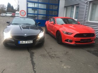 Zetti_Mustang_3977.jpg