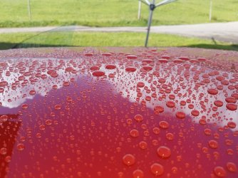 20161004_103918k.jpg