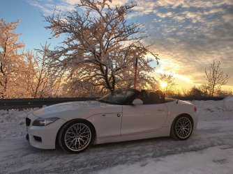 ImageUploadedByzroadster.com - BMW Z Series Community1484758789.028687.jpg