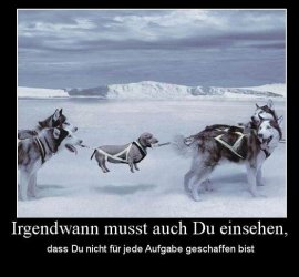 aaAufzeichnen.JPG