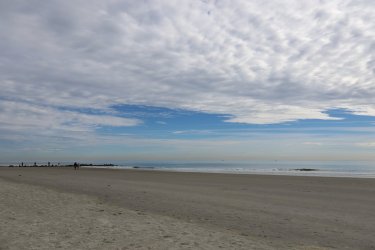 IMG_5846.JPG IMG_5846.JPG