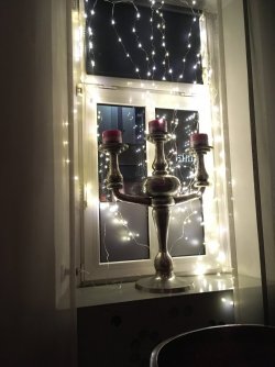 IMG_7679.JPG IMG_7679.JPG