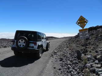 IMG_0827.JPG